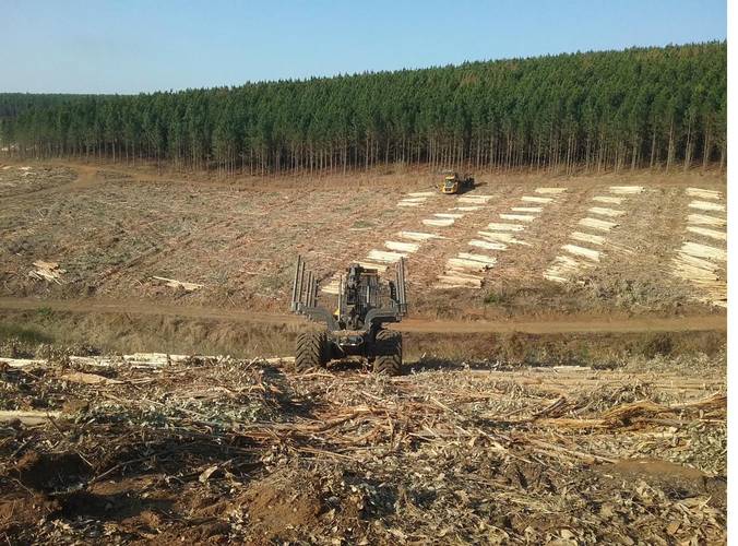 Harvesting Contract Zululand