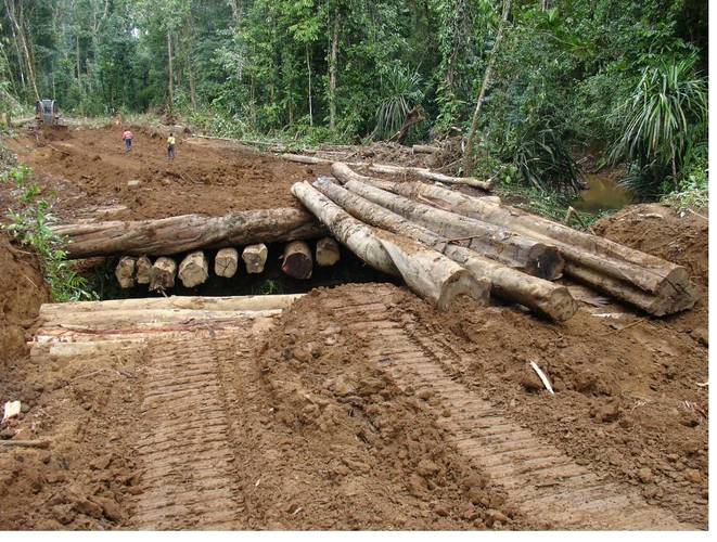 Emakhosini Road Construction
